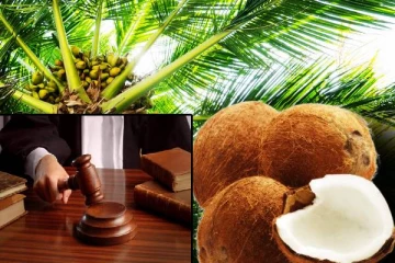 2 தேங்காய்களை திருடியதற்காக நடந்த கொலை ; 24 ஆண்டுகள் கழித்து மரண தண்டனை