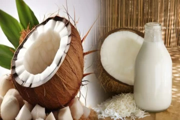 உடலில் பல்வேறு நோய்களை குணமாக்கும் தேங்காய் பால் எப்படி குடிக்க வேண்டும்?