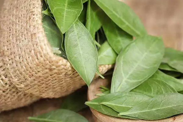 நம்மை தெய்வீகத்தில் ஆழ்த்தும் சாம்பிராணியை இப்படி தான் செய்கிறார்களா? | Sambrani Which Signifies The Divine