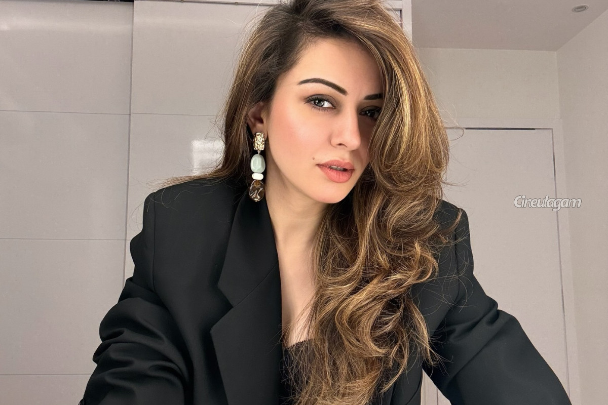 தவறான ரயிலில் ஏறிவிட்டேன்.. விவாகரத்து பற்றி முதல் முறை பேசிய ஹன்சிகா மோத்வானி! | Hansika Motwani Talks About Her Divorce