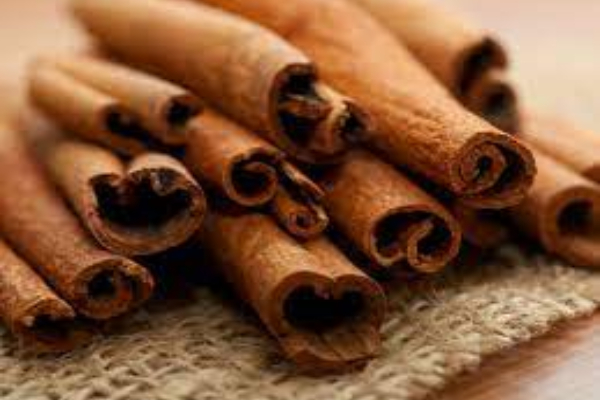 வழுக்கை தலையில் முடி வளர வேண்டுமா..! இதை செய்தால் போதும் உடனடி பலன் | Hair Fall Treatment Simple Tips In Tamil