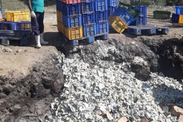 இலங்கை மக்களை அதிர்ச்சியில்  ஆழ்த்திய சம்பவம் - மண்ணில் புதைந்த ரகசியம்