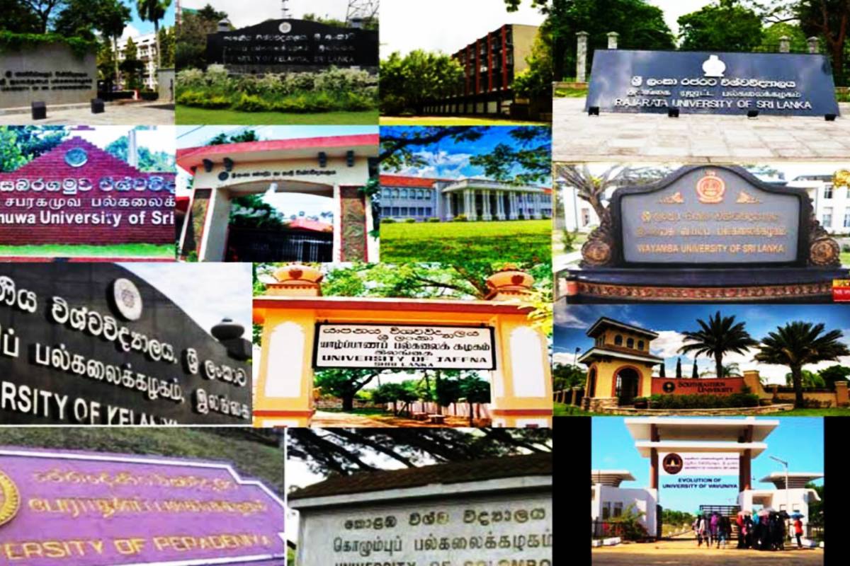 பெரும் சிக்கலில் இலங்கை அரச பல்கலைக்கழகங்கள்...! வெளியான அதிர்ச்சி தகவல் | Sri Lanka University Education Quality Drop