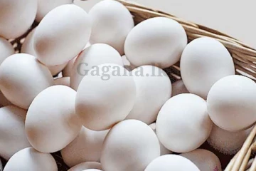 ආනයනික බිත්තර ගැන ගත්ත තීරණය..