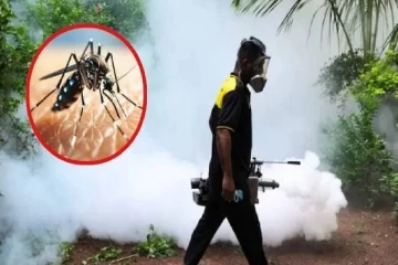 நாட்டில் டெங்கு அபாயம் உச்சம் ; இன்று முதல் விசேட நடவடிக்கை
