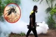 நாட்டில் டெங்கு அபாயம் உச்சம் ; இன்று முதல் விசேட நடவடிக்கை