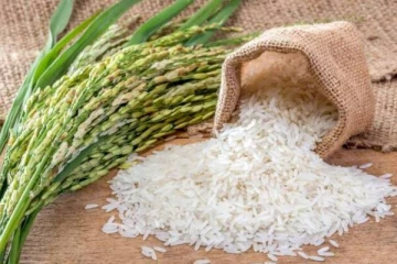சிரேஷ்ட பேராசிரியர் ஒருவர் வெளியிட்ட அதிர்ச்சித் தகவல்!