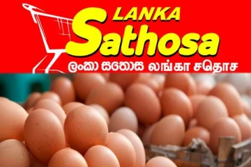 முட்டை விநியோகம் குறித்து சதொசவின் தீர்மானம்