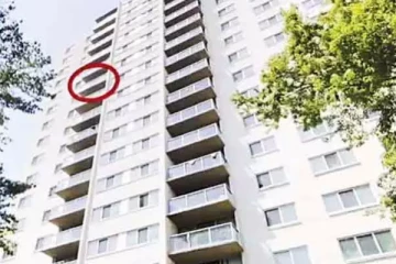 15வது மாடியில் இருந்து விழுந்த குழந்தை ; தெய்வாதீனமாக உயிர் தப்பிய அதிசயம்