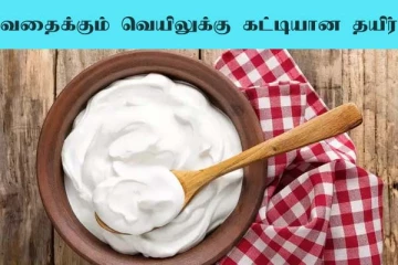 வெயில் காலத்தில் கட்டியான தயிர் தயாரிக்கனுமா? இதோ டிப்ஸ்