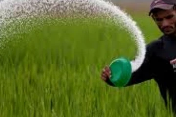 ගොවීන්ට වන්දි ලැබෙන හැටි කෘෂිකාර්මික හා ගොවිජන රක්ෂණ මණ්ඩලය කියයි.