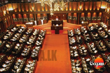 ජනපතිවරුන්ගේ හිමිකම් ඉවත් කිරීමේ පනත් කෙටුම්පත වැඩි ඡන්දයෙන් සම්මතයි