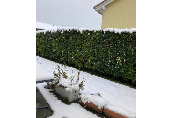 சுவிட்சர்லாந்தில் பெரும் பனிப்பொழிவு | Heavy Snowfall In Switzerland