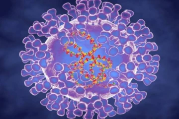 20 ஆண்டுக்கு பின் அமெரிக்காவில் ஒருவருக்கு மங்கி பாஸ் நோய் பாதிப்பு!