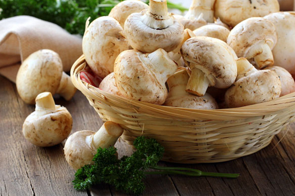 சைவ பிரியர்கள் புரத உணவுகளாக இதனை எடுத்து கொள்ளலாம் | Vegetarians Can Take It As A Protein Food