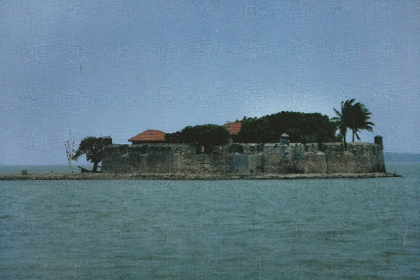 யாழ்ப்பாணம் வரும் ஜனாதிபதி அனுரவிடம் விடுக்கப்பட்ட வேண்டுகோள் | Request Made To President Anura Visiting Jaffna