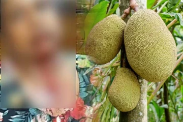 தாயை கொடூரமாக தாக்கிய மகன் - மனைவி, பிள்ளைகளுடன் தப்பியோட்டம்