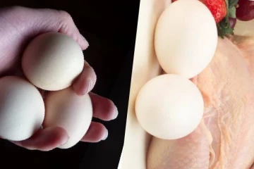 முட்டை - கோழி இறைச்சி பிரியர்களுக்கு மகிழ்ச்சியான தகவல்!  விலை மேலும் அதிகரிக்காது