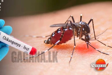 සෞඛ්‍ය අංශ වෙතින් විශේෂ දැනුම් දීමක්