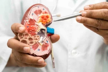 சிறுநீரகத்தில் கல் இருப்பதை காட்டும் அறிகுறிகள்..