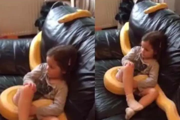 ராட்சத பாம்புடன் ரிவி பார்க்கும் சிறுமி! வைரல் காட்சி இதோ