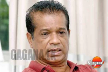 අලි ප්‍රශ්නයක්නම් අලින්ටත් එක්ක කෑම හදන්න - ඇමති ලාල්කාන්ත