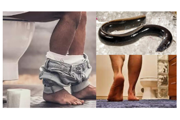 விலாங்கு மீனை எடுத்து ஆசனவாயில் நுழைத்த நபர் - அடுத்து நடந்தது என்ன? அதிர்ச்சி சம்பவம் | World விலாங்கு மீனை எடுத்து ஆசனவாயில் நுழைத்த நபர் - அடுத்து நடந்தது என்ன? அதிர்ச்சி சம்பவம் | World