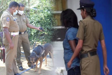 வவுனியாவில் திருட்டுச்சம்பவத்தில் ஈடுபட்ட யுவதி ஒருவர் கைது!