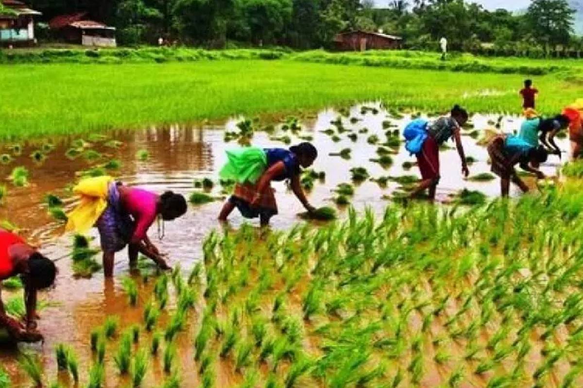 வடக்கு மாகாணத்தில் உள்நாட்டு உற்பத்தியின் பங்கு குறைவாகவே உள்ளது - ஆளுநர் விசனம் | North Production Share Remains Low Gov Vedanayagan வடக்கு மாகாணத்தில் உள்நாட்டு உற்பத்தியின் பங்கு குறைவாகவே உள்ளது - ஆளுநர் விசனம் | North Production Share Remains Low Gov Vedanayagan