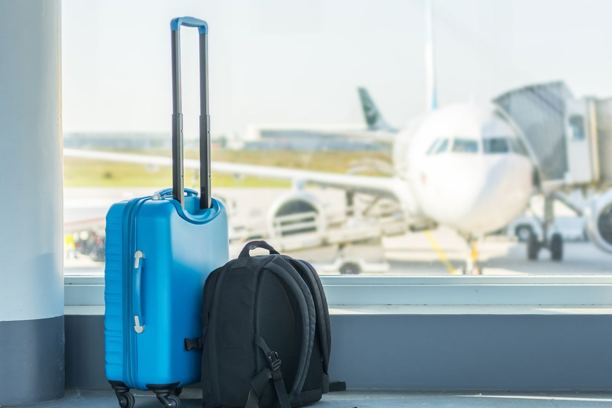 விமான நிலையத்தில் இலங்கை பயணியின் பொதியை சோதனையிட்ட அதிகாரிகள் அதிர்ச்சி! | Sri Lankan Attempts To Smuggle 38 Rare Pets விமான நிலையத்தில் இலங்கை பயணியின் பொதியை சோதனையிட்ட அதிகாரிகள் அதிர்ச்சி! | Sri Lankan Attempts To Smuggle 38 Rare Pets