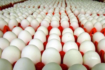 மீண்டும் முட்டை விலை உயர்ந்தது - மக்கள் அதிர்ச்சி