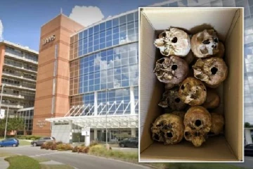 இதயம், பிறப்புறுப்பு, நுரையீரல் என 20 பெட்டி மனித உறுப்புகளை விற்ற பெண்மணி