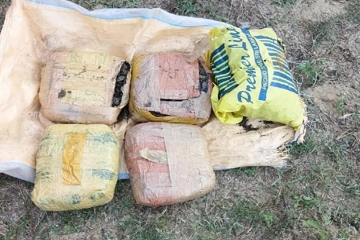 யாழில் பற்றைக்காட்டுக்குள் கிடந்த பொதிகளால் பெரும் அதிர்ச்சி ; தீவிரமாகும் விசாரணை | Packages Found Inside Bushland In Jaffna