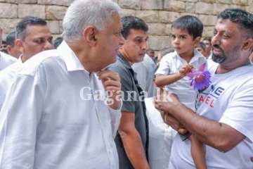 අනුරාධපුර පුරාවිද්‍යා පර්යේෂණ යුනිස්කෝවට...