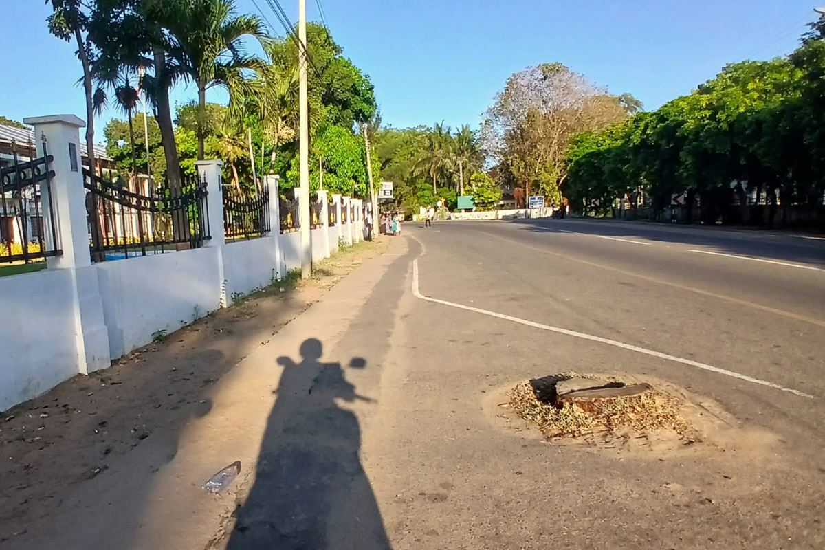 யாழ். மாவட்ட செயலகம் முன் மரத்தின் அடி பாகம் - மக்கள் விசனம் | Base Of The Tree In Front Of The Jaffna