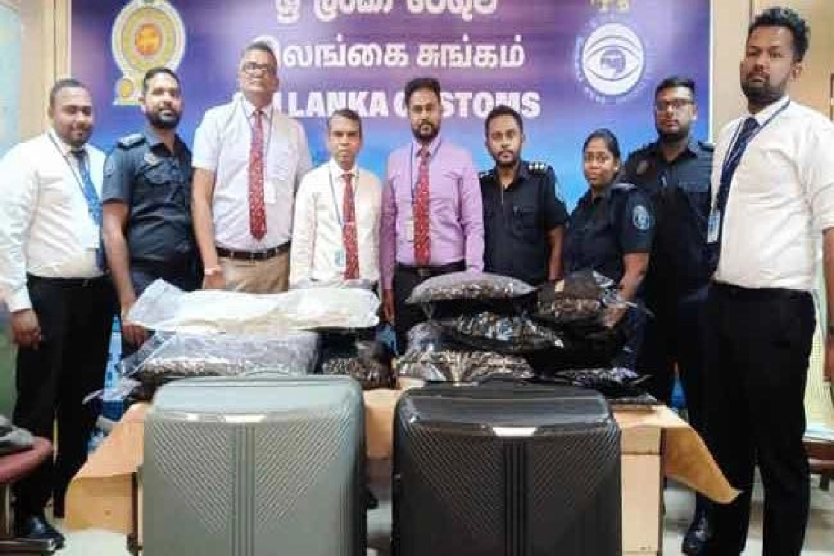 இரண்டு கனேடியர்கள் கட்டுநாயக்காவில் கைது | Two Canadians Arrested In Katunayake