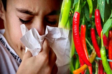 சளி, இருமலை விரட்டியடிக்கும் பச்சை மிளகாய்.. நீங்களும் தெரிஞ்சிக்கோங்க