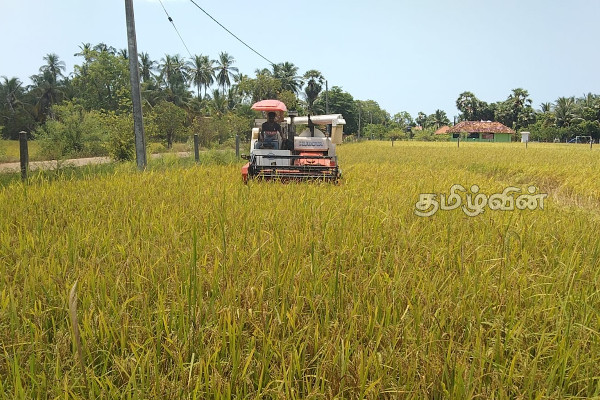 எரிபொருள் பிரச்சினையை எதிர்நோக்கும் கிளிநொச்சி விவசாயிகள்(Photos) | Petrol Issues Kilinochchi
