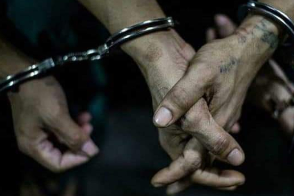 இரத்தினக்கல் அகழ்வில் ஈடுபட்ட நால்வர் கைது! | Four Arrested For Gem Mining