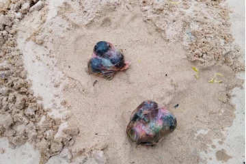 வடமராட்சி குடத்தனையில் வெடிபொருட்கள் மீட்பு