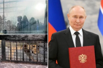 சிங்கம், பழுப்புகள் கரடிகளை பரிசளித்த புடின்! வட கொரியாவுக்கு ரஷ்ய அமைச்சர் சுற்றுப்பயணம்