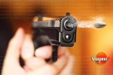 ගිනි අවියක් පත්තු වී පොලිස් නිලධාරියයා රෝහලට