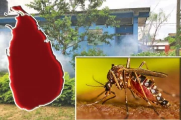 நாட்டில் பாரியளவில் அதிகரித்த டெங்கு நோயாளர்கள்