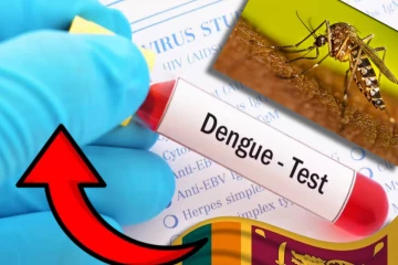 டெங்கு நோய் தீவிரம் : மரணங்களின் எண்ணிக்கை 53 ஆக அதிகரிப்பு