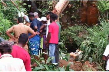 மரம் முறிந்து வீழ்ந்ததில் தந்தையொருவர் உயிரிழப்பு (Video)