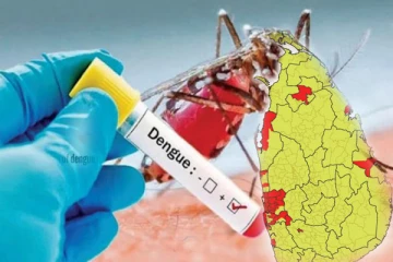 டெங்கு நுளம்புகளின் பெருக்கம் குறித்து விடுக்கப்பட்டுள்ள எச்சரிக்கை