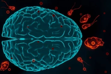 மூளையை தின்னும் அமீபா காய்ச்சல்; 4 பேர் பாதிப்பு - மருத்துவமனையில் தீவிர சிகிச்சை!