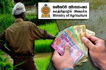 பாதிக்கப்பட்ட விவசாய நிலங்களுக்கு இழப்பீடு : பிரதி அமைச்சர் அறிவிப்பு
