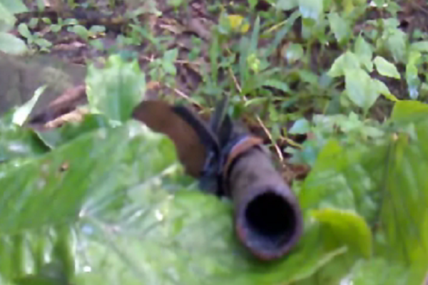 துப்பாக்கி வெடித்ததில் நொடிப்பொழுதில் மாறிய குடும்பஸ்தரின் வாழ்க்கை | A Family S Life Changed Instant When Gun Went Off துப்பாக்கி வெடித்ததில் நொடிப்பொழுதில் மாறிய குடும்பஸ்தரின் வாழ்க்கை | A Family S Life Changed Instant When Gun Went Off