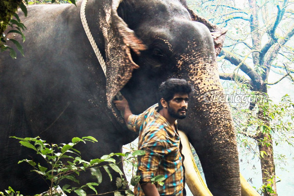 கும்கி 2 பட ரிலீசுக்கு தடை.. கடைசி நேரத்தில் நீதிமன்றம் போட்ட உத்தரவு | Court Stays Kumki 2 Release